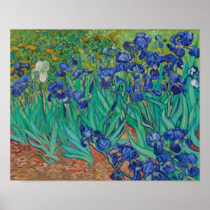 Irises van Vincent Van Gogh Poster