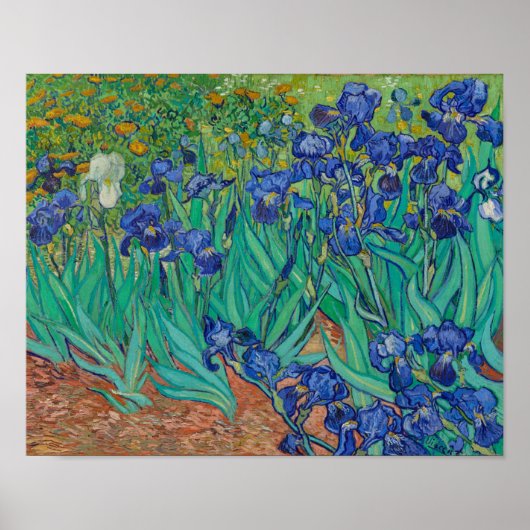 Irises van Vincent Van Gogh Poster (Voorkant)
