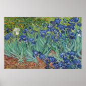 Irises van Vincent van Gogh Poster (Voorkant)