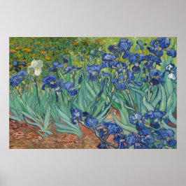 Irises van Vincent van Gogh Poster