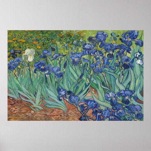 Irises van Vincent van Gogh Poster (Voorkant)
