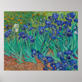 Irises van Vincent Van Gogh Poster