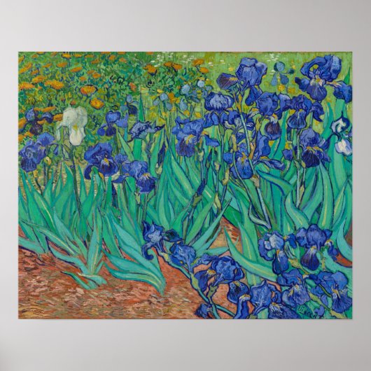Irises van Vincent Van Gogh Poster (Voorkant)