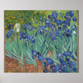 Irises van Vincent Van Gogh Poster (Voorkant)
