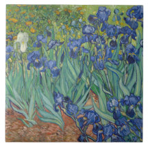 Irises van Vincent Van Gogh