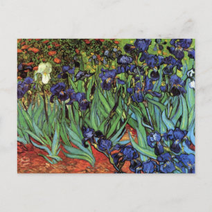 Irises van Vincent van Gogh, tuinkunst Briefkaart