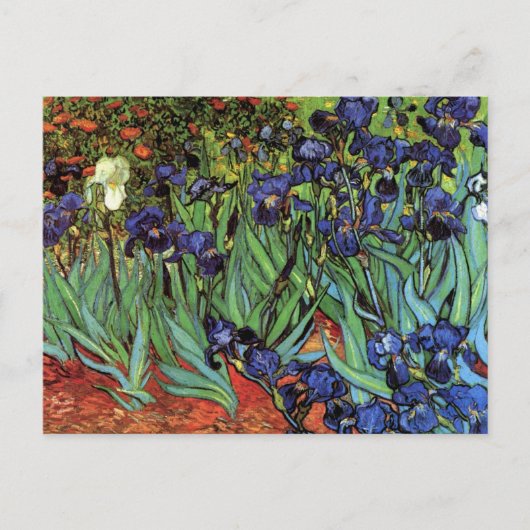 Irises van Vincent van Gogh,  tuinkunst Briefkaart (Voorkant)