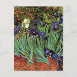 Irises van Vincent van Gogh,  tuinkunst Briefkaart<br><div class="desc">Irises (1889) van Vincent van Gogh is een kunstschilderij van het impressionisme, een landschapsschilderij met een tuin met paarse, bebaarde irissen die door oranje papavers worden geteeld. Een enkele witte irisbloem bloeit aan de rand. Over de kunstenaar: Vincent Willem van Gogh (1853-1890) was een van de beroemdste Post Impressionist schilders...</div>