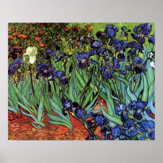 Irises van Vincent van Gogh,  tuinkunst Poster (Voorkant)