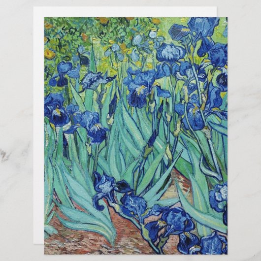 Irises, Vincent van Gogh (Voorkant / Achterkant)