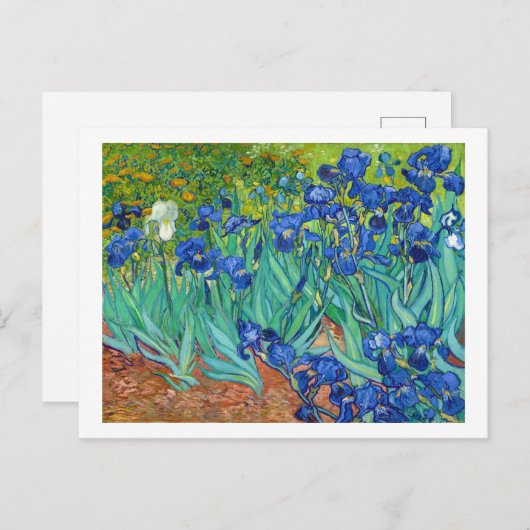 Irises, Vincent van Gogh Briefkaart (Voorkant / Achterkant)