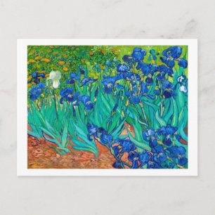 Irises, Vincent van Gogh Briefkaart