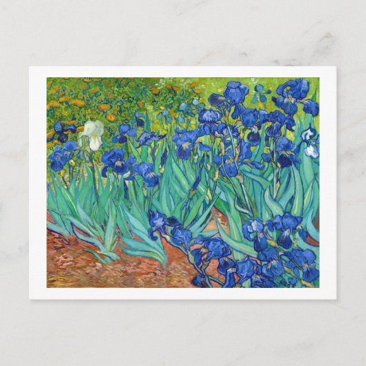 Irises, Vincent van Gogh Briefkaart (Voorkant)