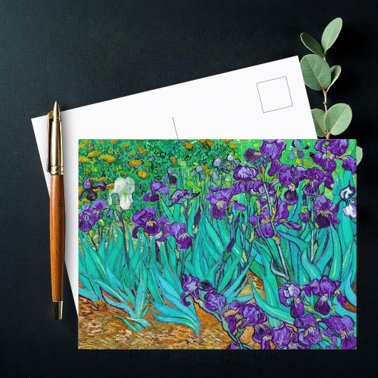 Irises, Vincent van Gogh Briefkaart