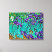 Irises, Vincent van Gogh Canvas Afdruk (Voorkant)