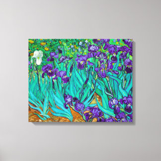 Irises, Vincent van Gogh Canvas Afdruk
