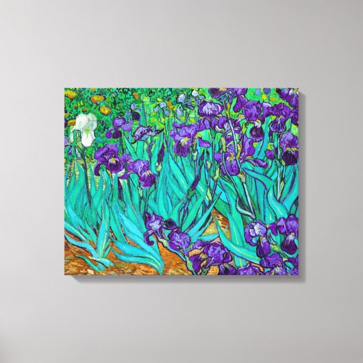 Irises, Vincent van Gogh Canvas Afdruk (Voorkant)
