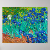 Irises, Vincent van Gogh Poster (Voorkant)