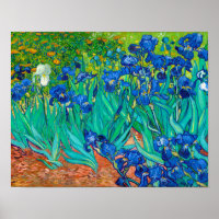 Irises, Vincent van Gogh
