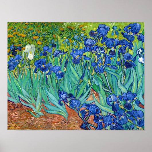 Irises, Vincent van Gogh Poster (Voorkant)