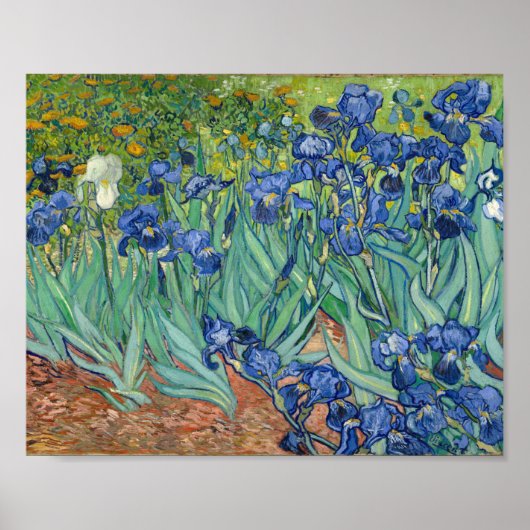 Irises | Vincent Van Gogh Poster (Voorkant)