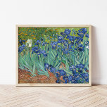 Irises | Vincent Van Gogh Poster<br><div class="desc">Irises (1889) van de Nederlandse postimpressionist Vincent Van Gogh. Origineel landschapsschilderij is een olie op het canvas met een tuin van bloeiende irisbloemen. Gebruik de ontwerphulpmiddelen om douanetekst toe te voegen of het afbeelding te personaliseren.</div>