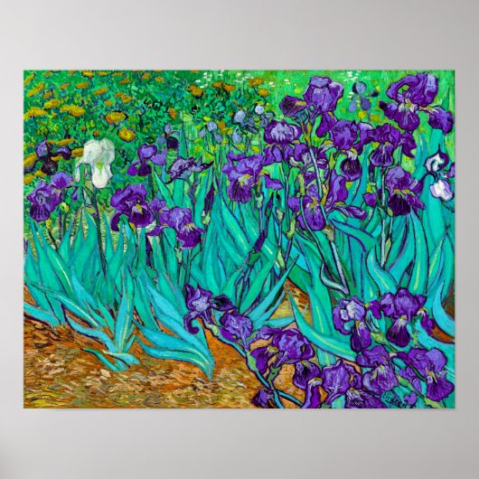 Irises, Vincent van Gogh Poster (Voorkant)