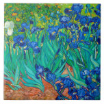 Irises, Vincent van Gogh Tegeltje<br><div class="desc">Vincent Willem van Gogh (30 maart 1853 - 29 juli 1890) was een Nederlandse post-impressionistische schilder die een van de bekendste en invloedrijkste figuren in de geschiedenis van de Westerne kunst is. In iets meer dan 10 jaar heeft hij ongeveer 2.100 kunstwerken gemaakt, waaronder ongeveer 860 olieschilderijen, waarvan het grootste...</div>