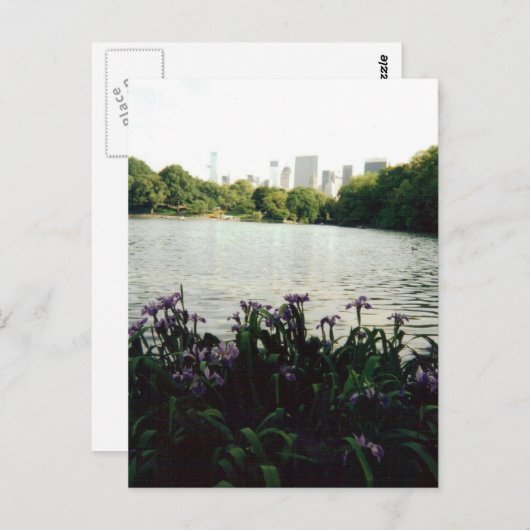 irisesmmm 001 briefkaart (Voorkant / Achterkant)