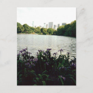 irisesmmm 001 briefkaart