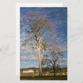 Irish Beech Trees Briefpapier (Voorkant / Achterkant)