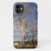 Irish Beech Trees Case-Mate iPhone Case (Achterkant)