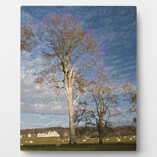 Irish Beech Trees Fotoplaat (Voorkant)