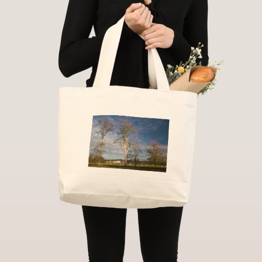 Irish Beech Trees Grote Tote Bag (Voorkant (product))