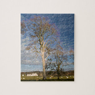 Irish Beech Trees Legpuzzel