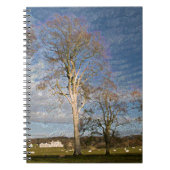 Irish Beech Trees Notitieboek (Voorkant)