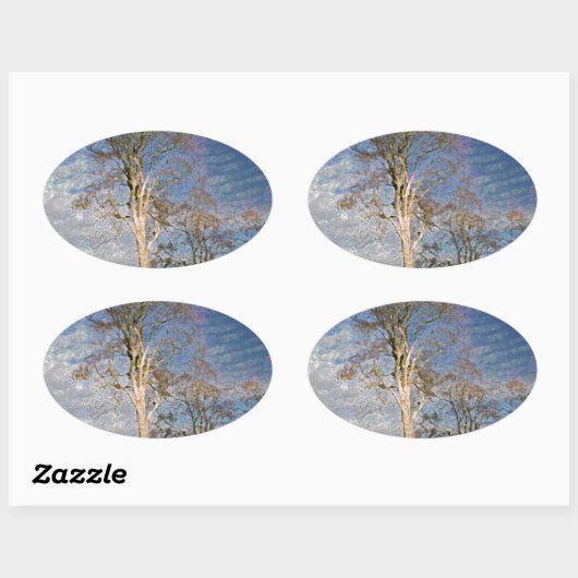 Irish Beech Trees Ovale Sticker (Vel)