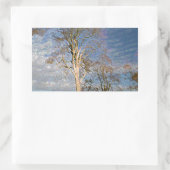 Irish Beech Trees Rechthoekige Sticker (Tas)