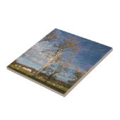 Irish Beech Trees Tegeltje (Zijkant)