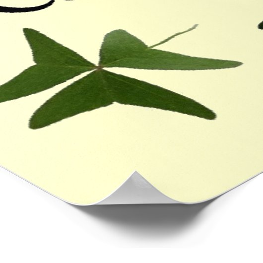 Irish Blessiness Poster (Hoek)