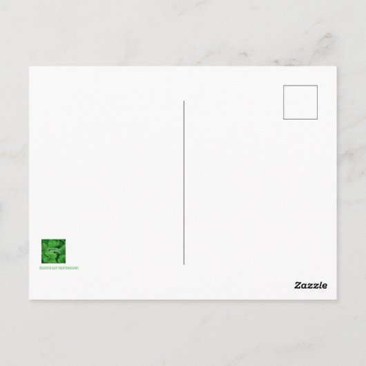 Irish Blessing Briefkaart (Achterkant)