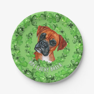 Irish Boxer Papieren Bordje