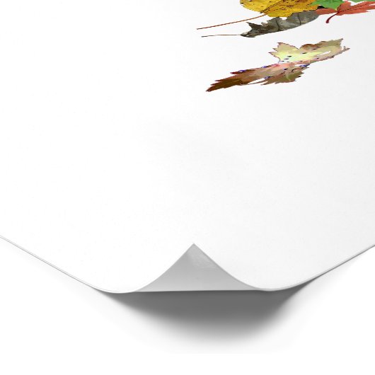 Irish Boy Fairy on Mushroom Poster (Hoek)