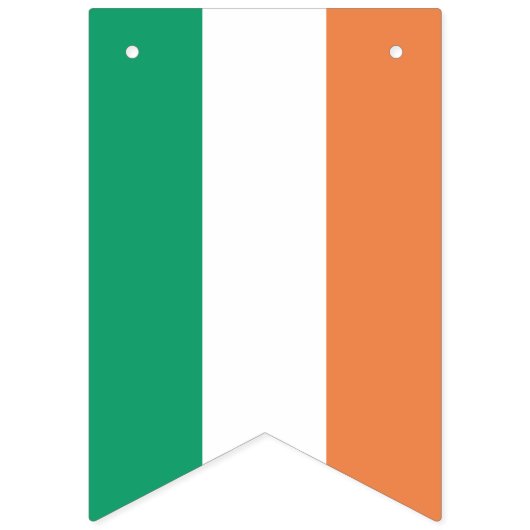 Irish Bunting Flags - Show uw Irish Pride Vlaggetjes (Tweede vlag)