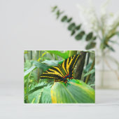 Irish Butterfly Briefkaart (Staand voorkant)