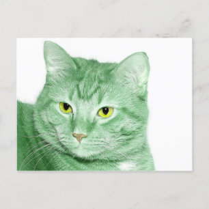 Irish Cat Briefkaart