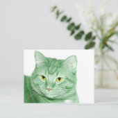 Irish Cat Briefkaart (Staand voorkant)