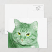 Irish Cat Briefkaart (Voorkant / Achterkant)