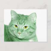 Irish Cat Briefkaart (Voorkant)