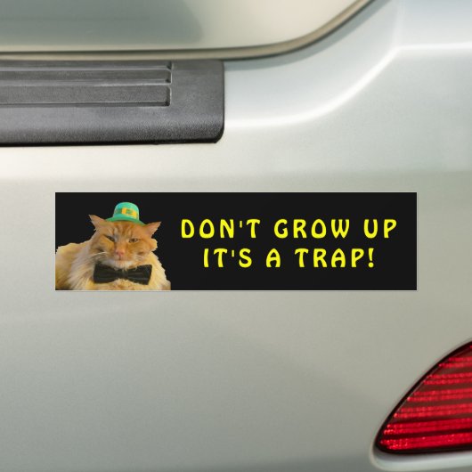Irish Cat zegt dat je niet meer meme Bumpersticker (Op auto)